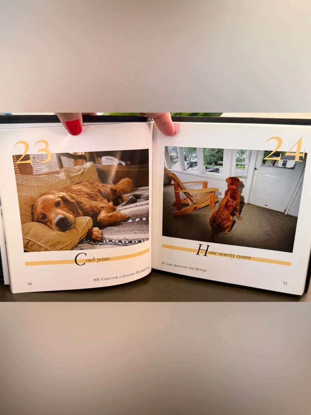 3 Dog Books/Bookmark~Love of Goldens, 101 Uses for a Golden, What Dogs Teach Us